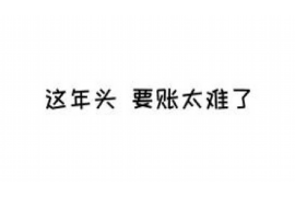 银资网讨债靠谱：揭秘高效债务回收平台